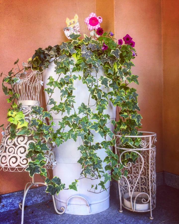 Bed and Breakfast I Grappoli Divini Viarigi Экстерьер фото